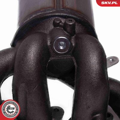 CATALIZATOR ESEN SKV 62SKV021 3