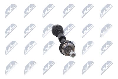 PLANETARA NTY NPWFR143 13