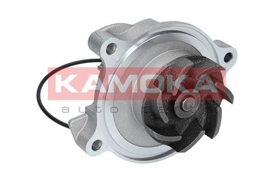 Water Pump, engine cooling T0042