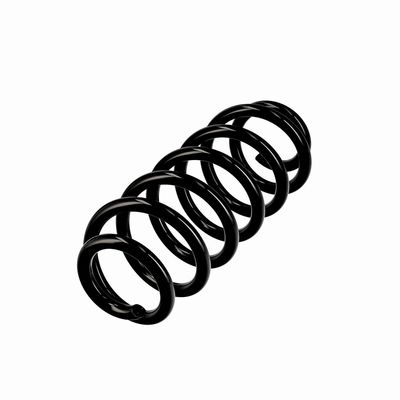 ARC SPIRAL EIBACH R10615 3