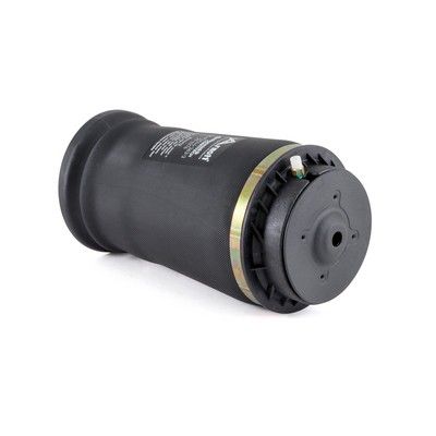 ARC PNEUMATIC DIRECTIE Arnott A2596 1