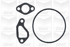 POMPă DE APă RăCIRE MOTOR GRAF PA319 1