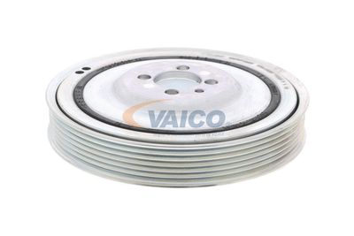 SET FULIE ARBORE COTIT VAICO V240865 8