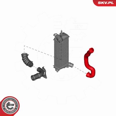 FURTUN EAR SUPRAALIMENTARE ESEN SKV 43SKV069 3