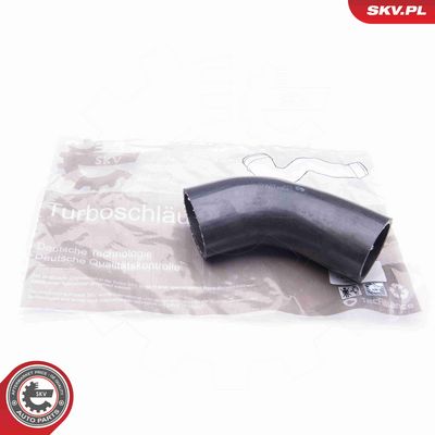 FURTUN EAR SUPRAALIMENTARE