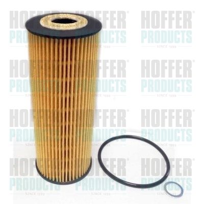Масляный фильтр HOFFER 14013