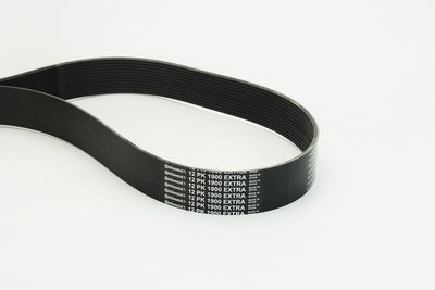 Poly V-riem CONTINENTAL CTAM 12PK1900 EXTRA