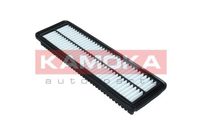 Air Filter F246801