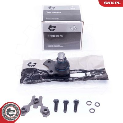 Шарнири ESEN SKV 04SKV599