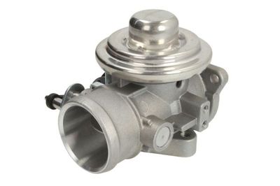 EGR Valve ENT500011