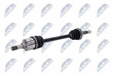 PLANETARA NTY NPWFR031 3