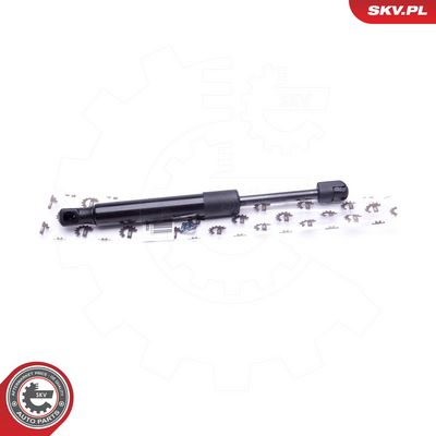 Dujinė spyruoklė, gaubtas