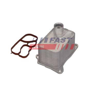 RADIATOR ULEI ULEI MOTOR FAST FT00665 1