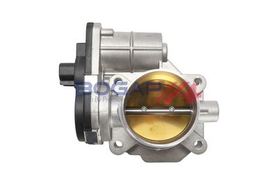 CARCASA CLAPETA BOGAP G6319103 1