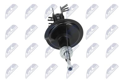 AMORTIZOR NTY ACT029 33