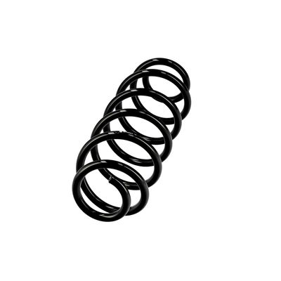 ARC SPIRAL EIBACH R10823 2