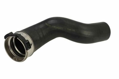 FURTUN EAR SUPRAALIMENTARE