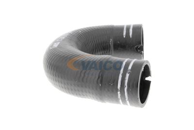 FURTUN EAR SUPRAALIMENTARE VAICO V240804 48