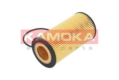 Oil Filter F110101