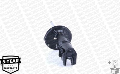 Shock Absorber G16251