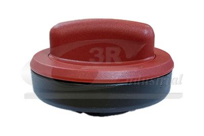 BUSON REZERVOR DE COMBUSTIBIL 3RG 65504 1