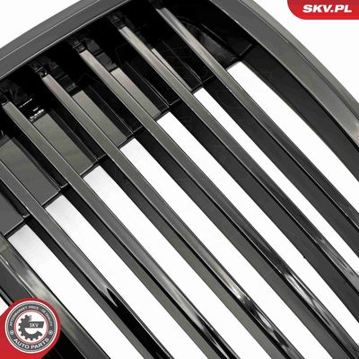 GRILA RADIATOR ESEN SKV 66SKV146 4