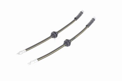 FURTUN FRANA VAICO V240091 10