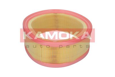 Air Filter F235501