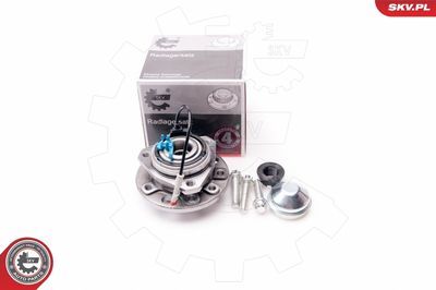 Wheel Bearing Kit 29SKV019