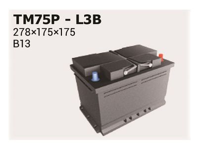 Стартерная аккумуляторная батарея IPSA TM75P для PORSCHE 968