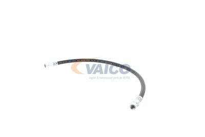 FURTUN FRANA VAICO V309926 17