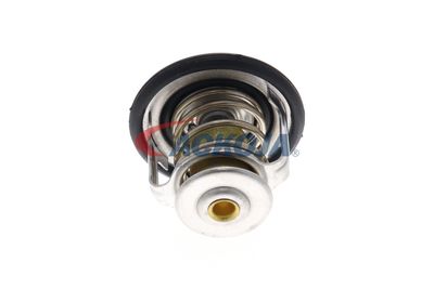 TERMOSTAT LICHID RACIRE ACKOJA A38990006 48