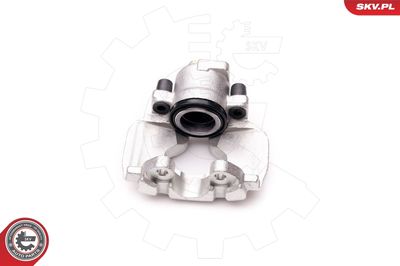 Brake Caliper 34SKV232