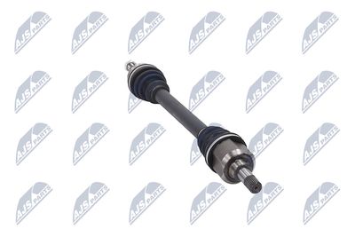 PLANETARA NTY NPWPE077 31