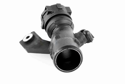 FURTUN EAR SUPRAALIMENTARE ACKOJA A380296 3