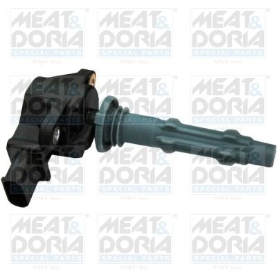 Ignition Coil 10600