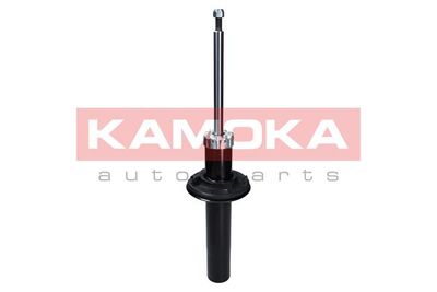 Shock Absorber 2000647