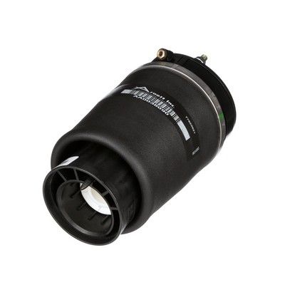 LUFTFEDER FAHRWERK Arnott A2934 36