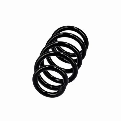 ARC SPIRAL EIBACH R10603 14
