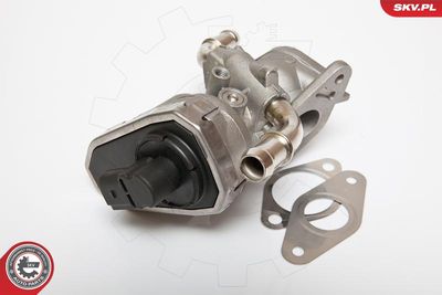 EGR Valve 14SKV044