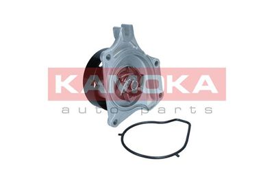 Water Pump, engine cooling T0307