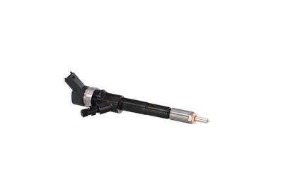INJECTOR REMANTE 002003001665R 43