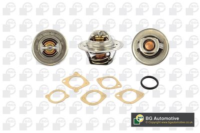 Termostat, chladivo BGA CT5491K