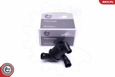 TERMOSTAT LICHID RACIRE