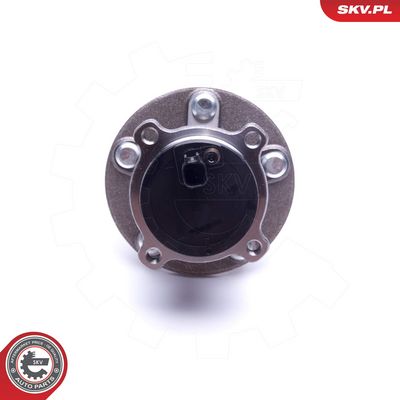 SET RULMENT ROATA ESEN SKV 29SKV407 3