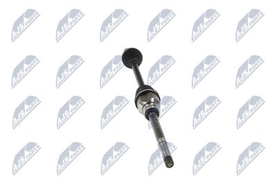 PLANETARA NTY NPWPE017 33