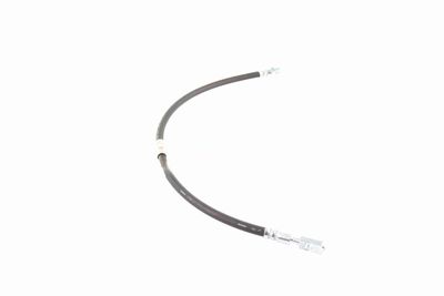 FURTUN FRANA VAICO V103077 8