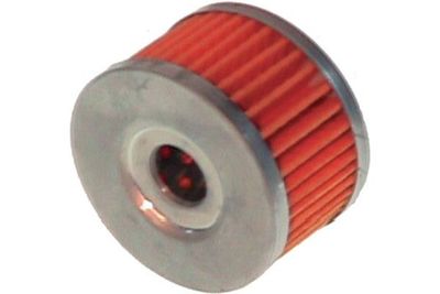 Kavo Parts Alyvos filtras