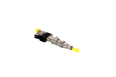 INJECTOR REMANTE 013002002266R 47