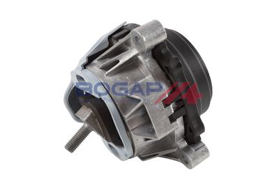 BOGAP Variklio montavimas